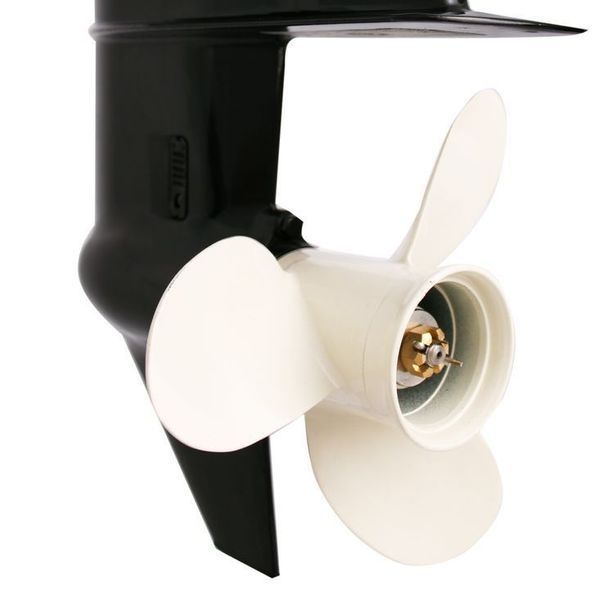 Moteur de bateau Parsun F9.8BWS