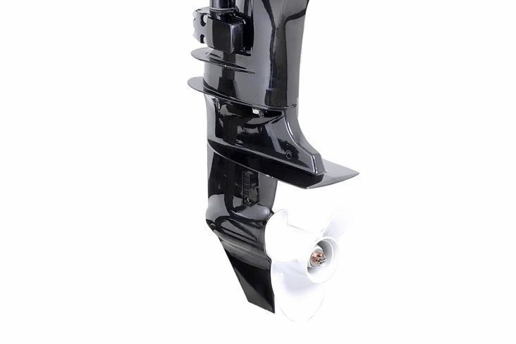 Moteur de bateau Parsun F9.8BWS
