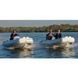 GALA Atlantis Deluxe A360L RIB (Гала Атлантис Делюкс РИБ А360Л) надувная лодка с алюминиевым дном 213398 фото 16