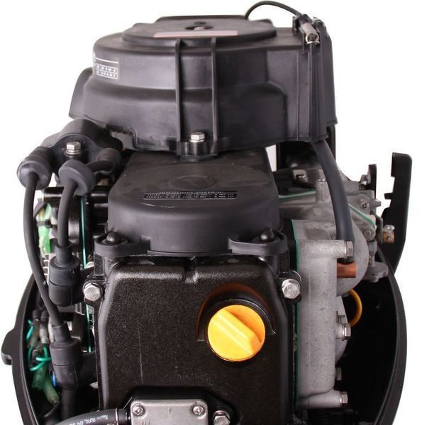 Moteur de bateau Parsun F9.8BMS