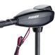 Fisher 32 outboard motor