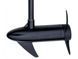 Fisher 46 outboard motor