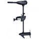 Fisher 46 outboard motor